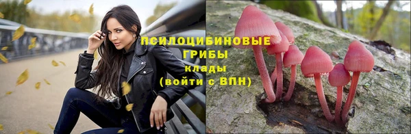 ALPHA-PVP Алзамай