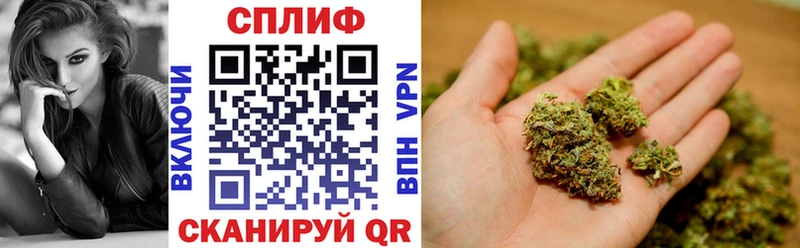 Бошки Шишки сатива Кола